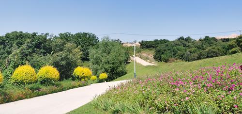 1635146058405929.jpg e0e03f46f10d4de3859a6ea5cc263fb9.jpg